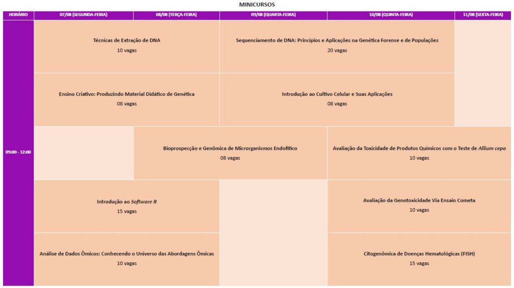 CronogramaCIG_Minicursos