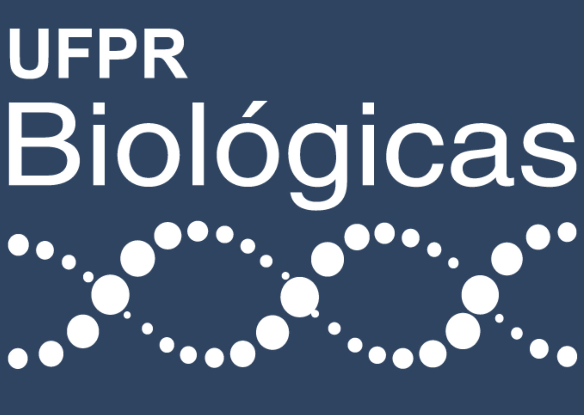 Segundo Logotipo